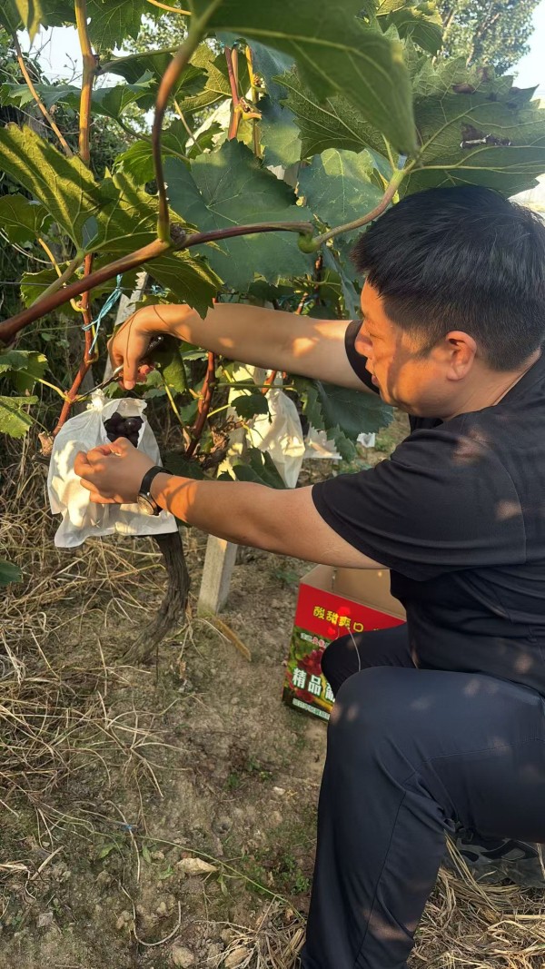 微信图片_20260723200207_84_18